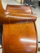Hidersine Vivente 4/4 Cello Outfit - B-Stock - CL2370