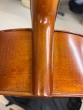 Hidersine Vivente 4/4 Cello Outfit - B-Stock - CL2370