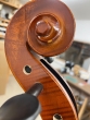 Hidersine Vivente 4/4 Cello Outfit - B-Stock - CL2370