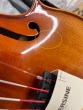 Hidersine Piacenza Violin 4/4 Outfit - B-Stock - CL2371