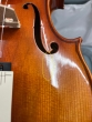 Hidersine Piacenza Violin 4/4 Outfit - B-Stock - CL2371