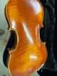 Hidersine Piacenza Violin 4/4 Outfit - Sample - CL2391