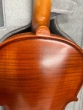 Hidersine Vivente Violin 4/4 Outfit - B-Stock - CL2421