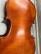 Hidersine Vivente Violin 4/4 Outfit - B-Stock - CL2424