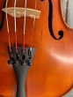 Hidersine Vivente Violin 4/4 Outfit - B-Stock - CL2424