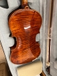 Hidersine Piacenza Violin 4/4 Outfit - B-Stock - CL2435