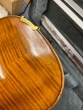 Hidersine Preciso Violin 4/4 Outfit - Strad Antique - B-Stock - CL2459