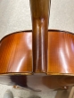 Hidersine Vivente 4/4 Cello Outfit - B-Stock - CL2469