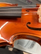 Hidersine Piacenza Violin 4/4 Outfit - B-Stock - CL2475