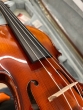 Hidersine Piacenza Violin 4/4 Outfit - B-Stock - CL2476