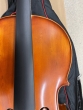 Hidersine Vivente 4/4 Cello Outfit - B-Stock - CL2480