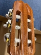 Admira Diana Classical Guitar-B stock-CL2556