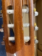 Admira Diana Classical Guitar-B stock-CL2556