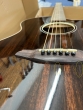 Rathbone No.3 - Double Top - Ebony E/Cut-B stock-CL2570