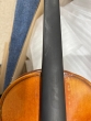 Hidersine Reserve Pianura Violin 506 Stradivari. Ebony Fittings - B-Stock - CL2573