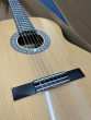 Admira Alba Classical Guitar 4/4-B stock-CL2577