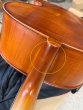 Hidersine Vivente 4/4 Cello Outfit - B-Stock - CL2613
