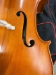 Hidersine Vivente 4/4 Cello Outfit - B-Stock - CL2614