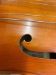 Hidersine Vivente 4/4 Cello Outfit - B-Stock - CL2614