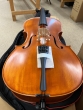 Hidersine Vivente 4/4 Cello Outfit - B-Stock - CL2641