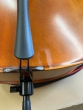 Hidersine Vivente 4/4 Cello Outfit - B-Stock - CL2642