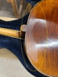Hidersine Cello Melodioso 4/4 Outfit - B-Stock - CL2646