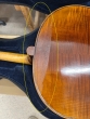 Hidersine Cello Melodioso 4/4 Outfit - B-Stock - CL2648