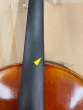 Hidersine Reserve Pianura Cello 406 3/4 26 14 - B-Stock - CL2743