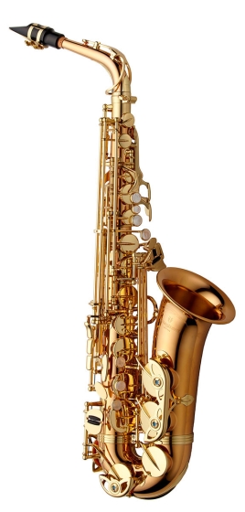 Yanagisawa Alto Sax - Bronze