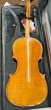 Hidersine Veracini Violin Outfit 4/4 - B-Stock - CL2446