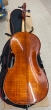 Hidersine Piacenza Cello Outfit 4/4 - B-Stock - CL2451