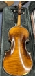 Hidersine Espressione Violin 4/4 Outfit - Guarneri - B-Stock - CL2458