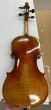 Hidersine Reserve Pianura Violin 302 - B-Stock - CL2633