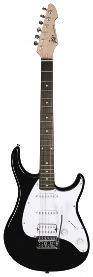 Peavey Guitar Raptor Plus Black