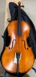 Hidersine Vivente 4/4 Cello Outfit - B-Stock - CL2370