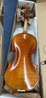 Hidersine Reserve Pianura Violin 506 Stradivari. Ebony Fittings - B-Stock - CL2573