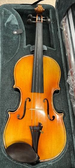 Hidersine Venezia Violin 4/4 - B-Stock - CL2175