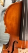 Hidersine Vivente Violin 4/4 Outfit - B-Stock - CL2183