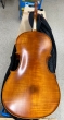 Hidersine Vivente 4/4 Cello Outfit - B-Stock - CL2369