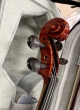 Hidersine Piacenza Violin 4/4 Outfit - Sample - CL2392
