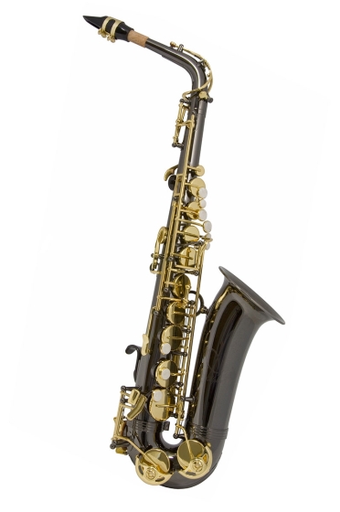 Trevor James Alphasax Alto Sax Outfit - Black Body Gold Lacquer Keys