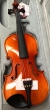 Hidersine Piacenza violin 4/4 outfit-B stock-CL2690