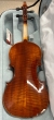 Hidersine Piacenza Violin 4/4 Outfit - B-Stock - CL2187