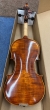 Hidersine Piacenza Violin 4/4 ONLY - B-Stock - CL2394