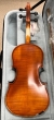 Hidersine Vivente Violin 4/4 Outfit - B-Stock - CL2421