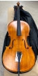 Hidersine Vivente 4/4 Cello Outfit - B-Stock - CL2177