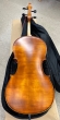 Hidersine Vivente 4/4 Cello Outfit - B-Stock - CL2177