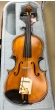 Hidersine Vivente Violin 4/4 Outfit - B-Stock - CL2274