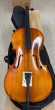 Hidersine Vivente 4/4 Cello Outfit - B-Stock - CL2362