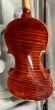 Hidersine Piacenza Violin 4/4 Outfit - Sample - CL2392